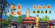 黄色搞基wwwwww江苏无锡灵山大佛旅游风景区